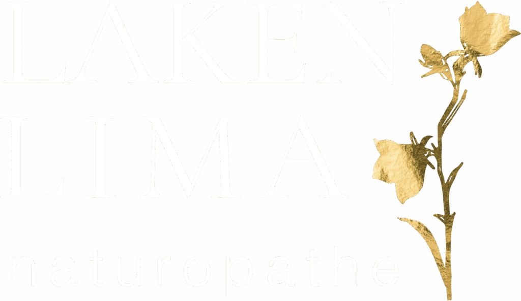 lakenlima-logo