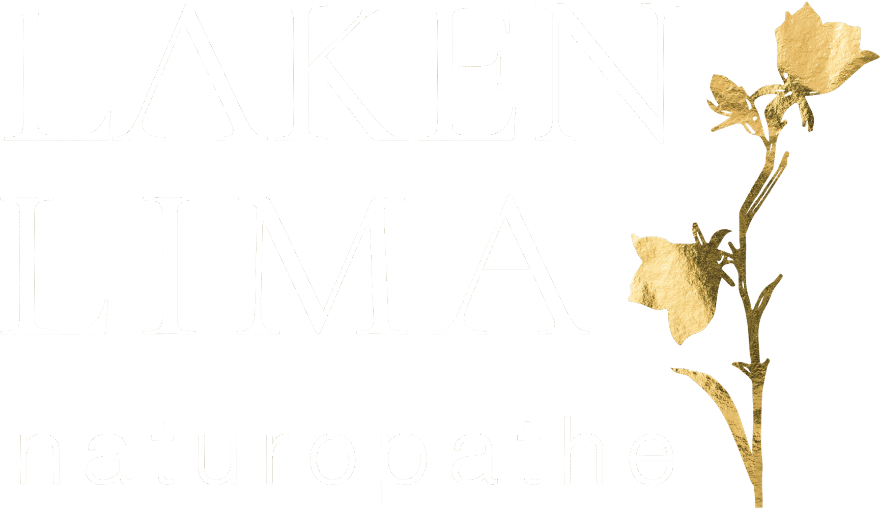 lakenlima-logo